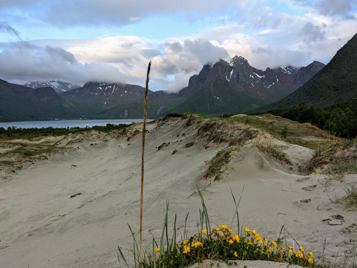 Sommarhus I Lofoten Villa Sand  Eksteriør billede